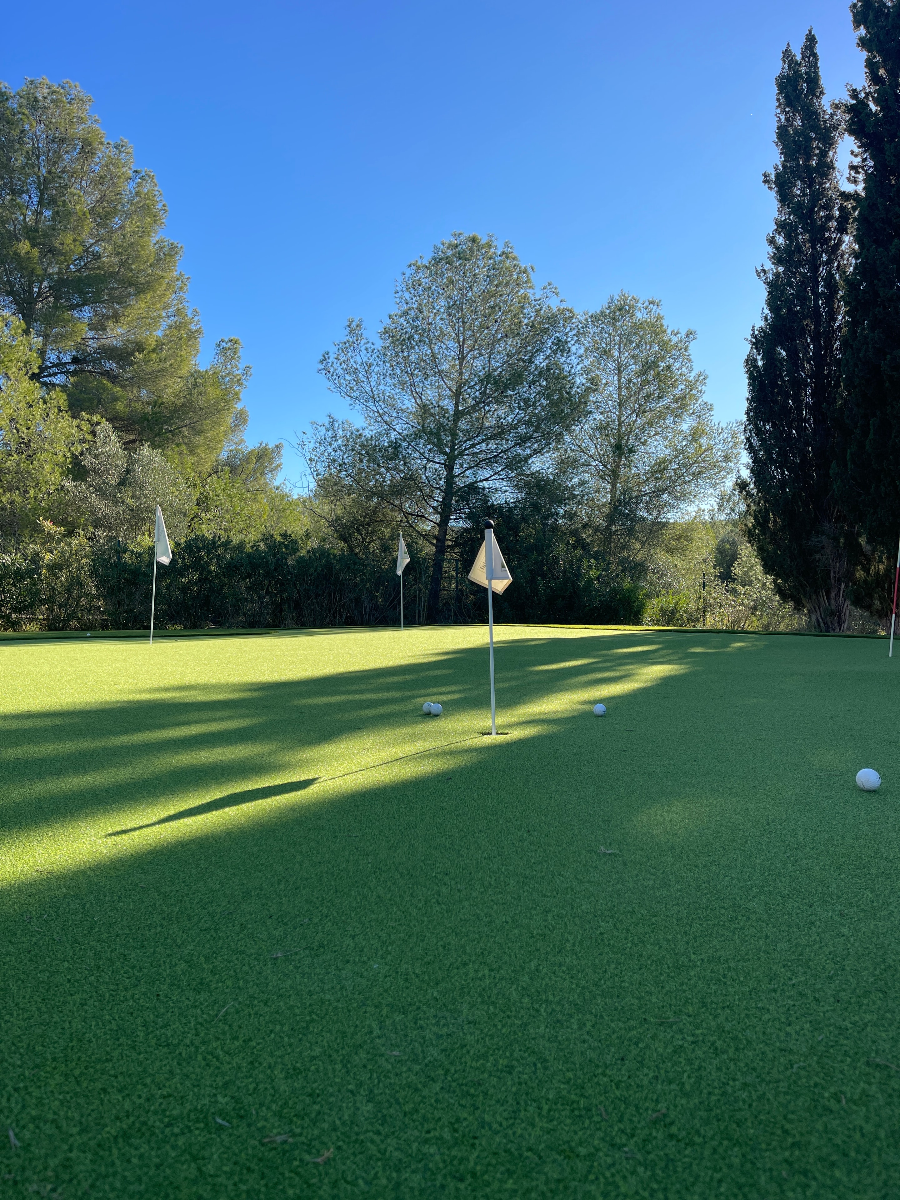 Home golf area with artificial grass Spain