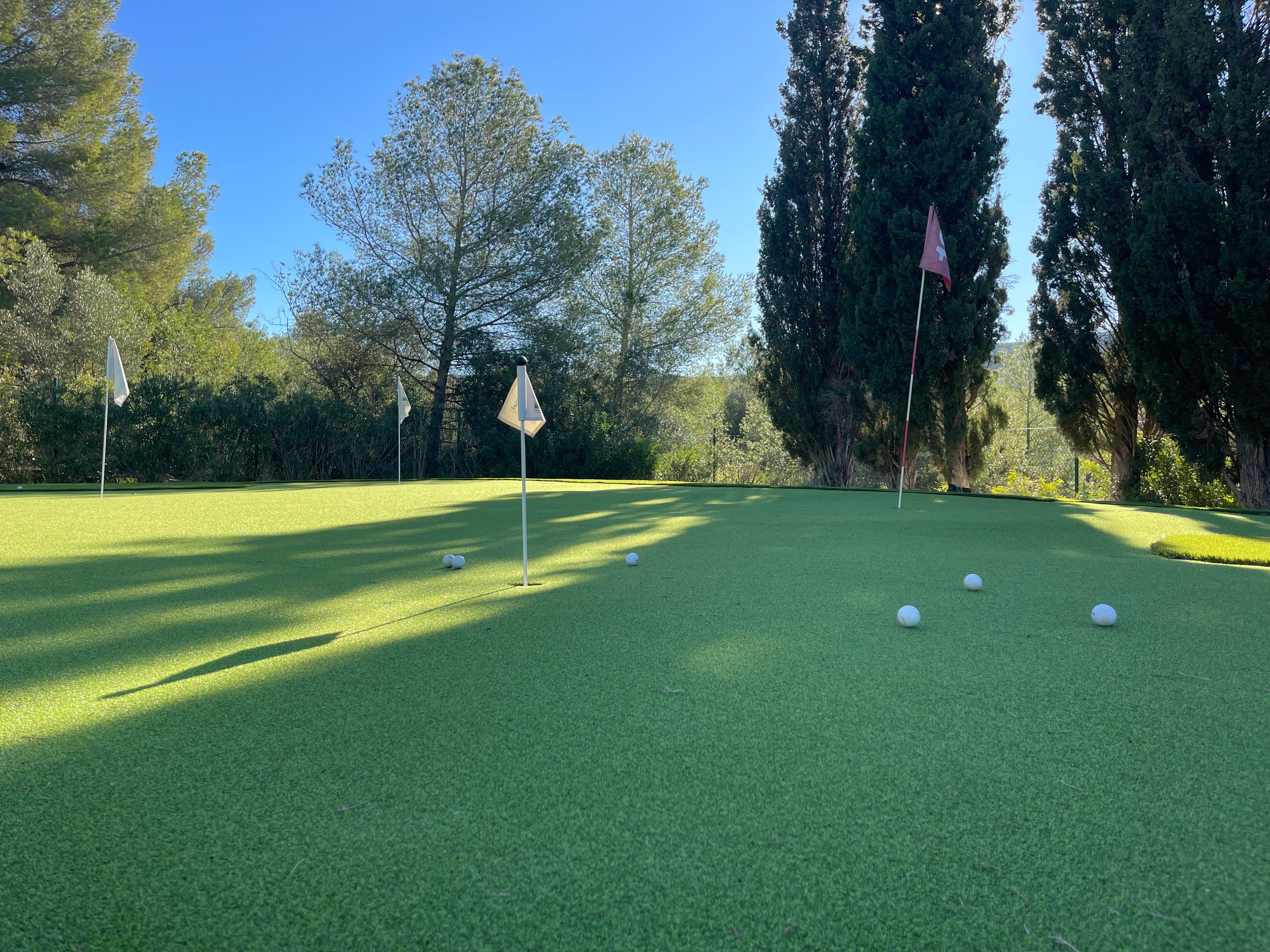 Home golf putting green artificial grass Spain