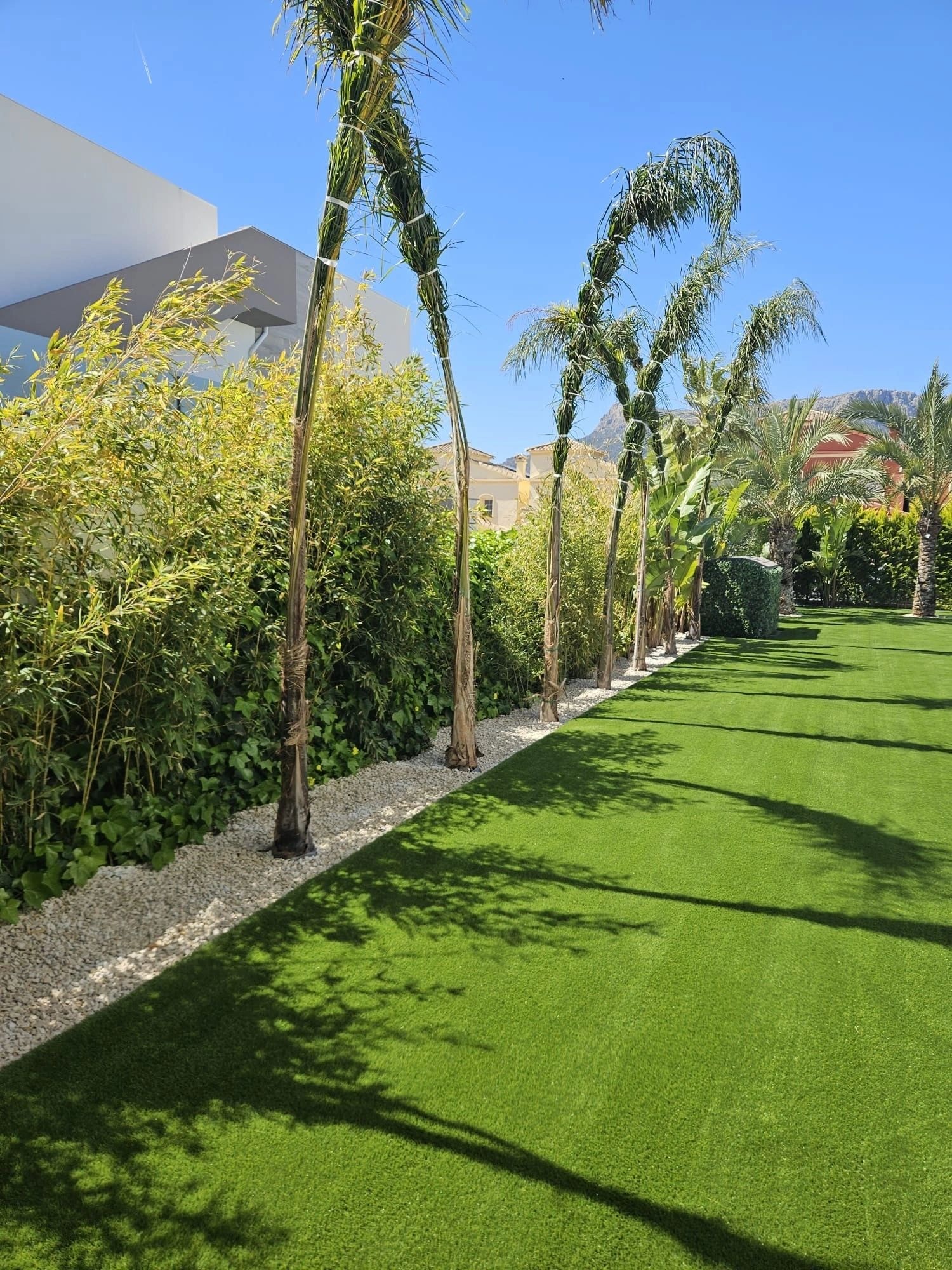 Terrace Transformation — photo 3