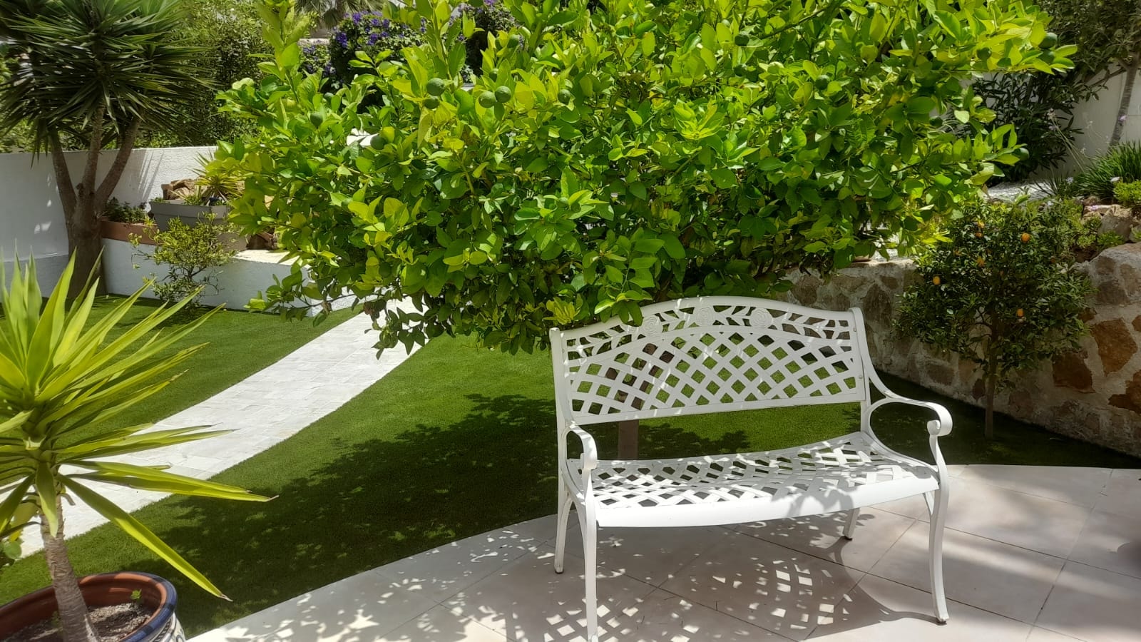 Garden bench on artificial grass with citrus tree Spain