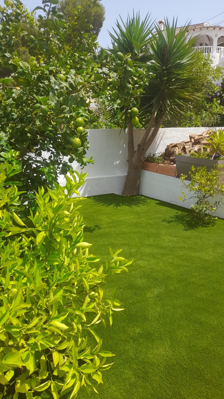 Garden with citrus trees and artificial grass Costa Blanca
