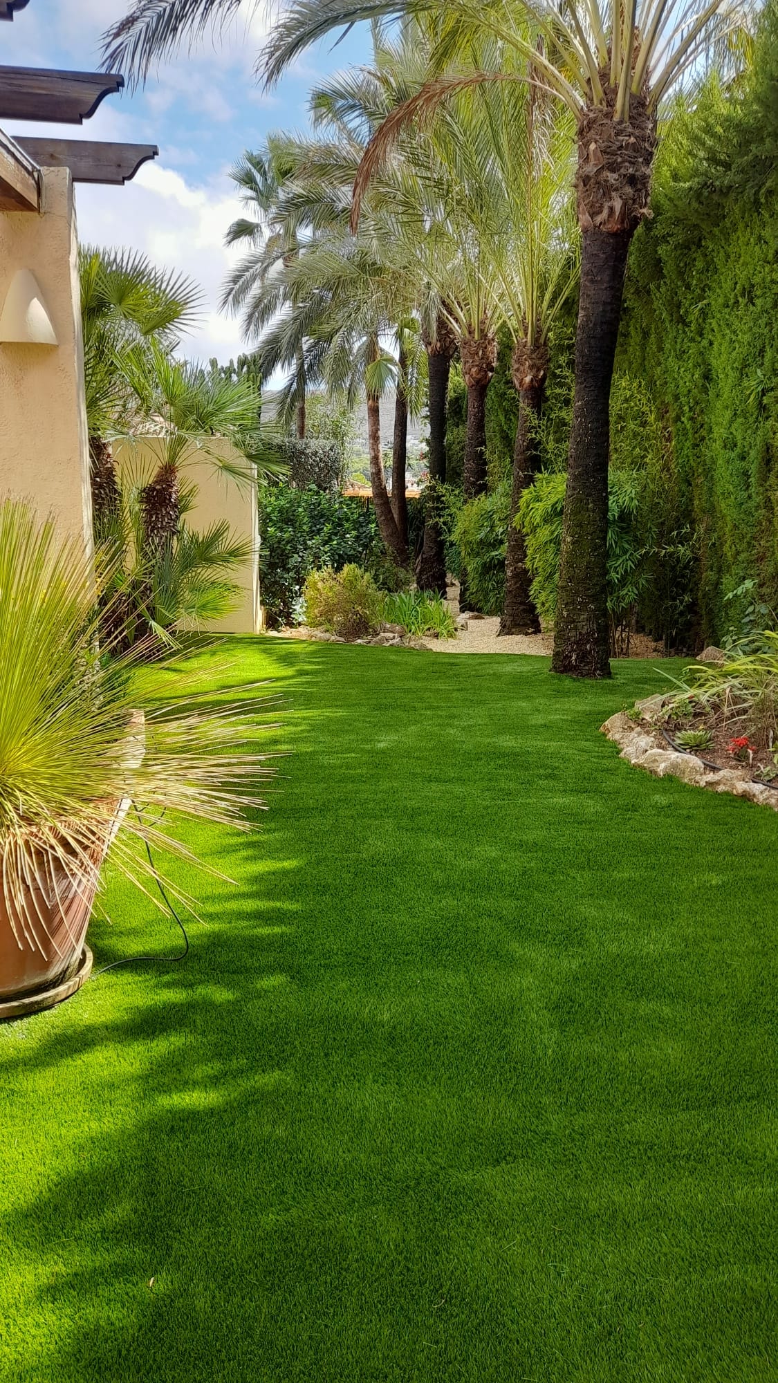 Wide artificial grass garden with palm tree avenue Spain